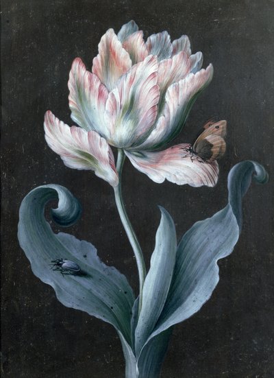 蝶とカブトムシのオウムチューリップ（ガッシュ） 作： Barbara Regina Dietzsch